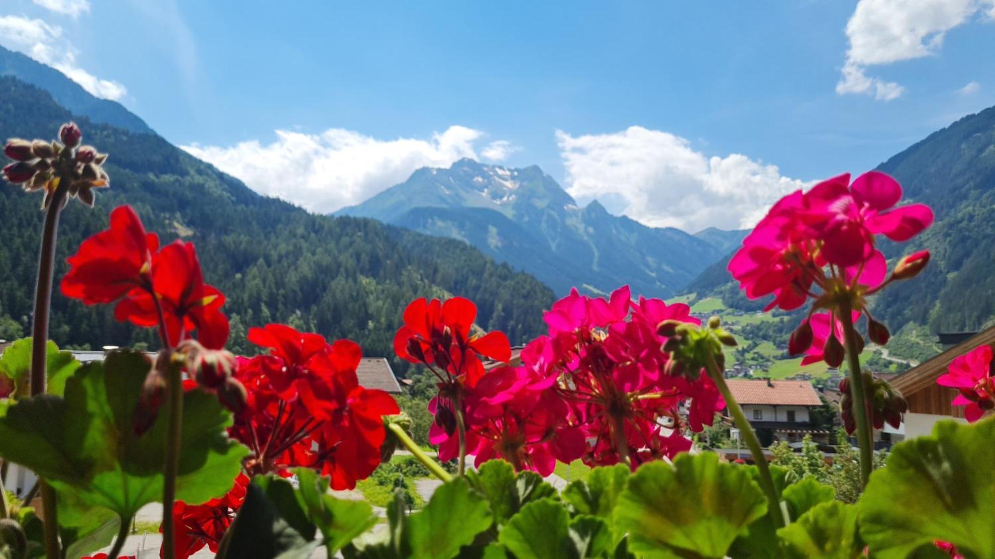 Hotel Scheulinghof Mayrhofen Exterior foto