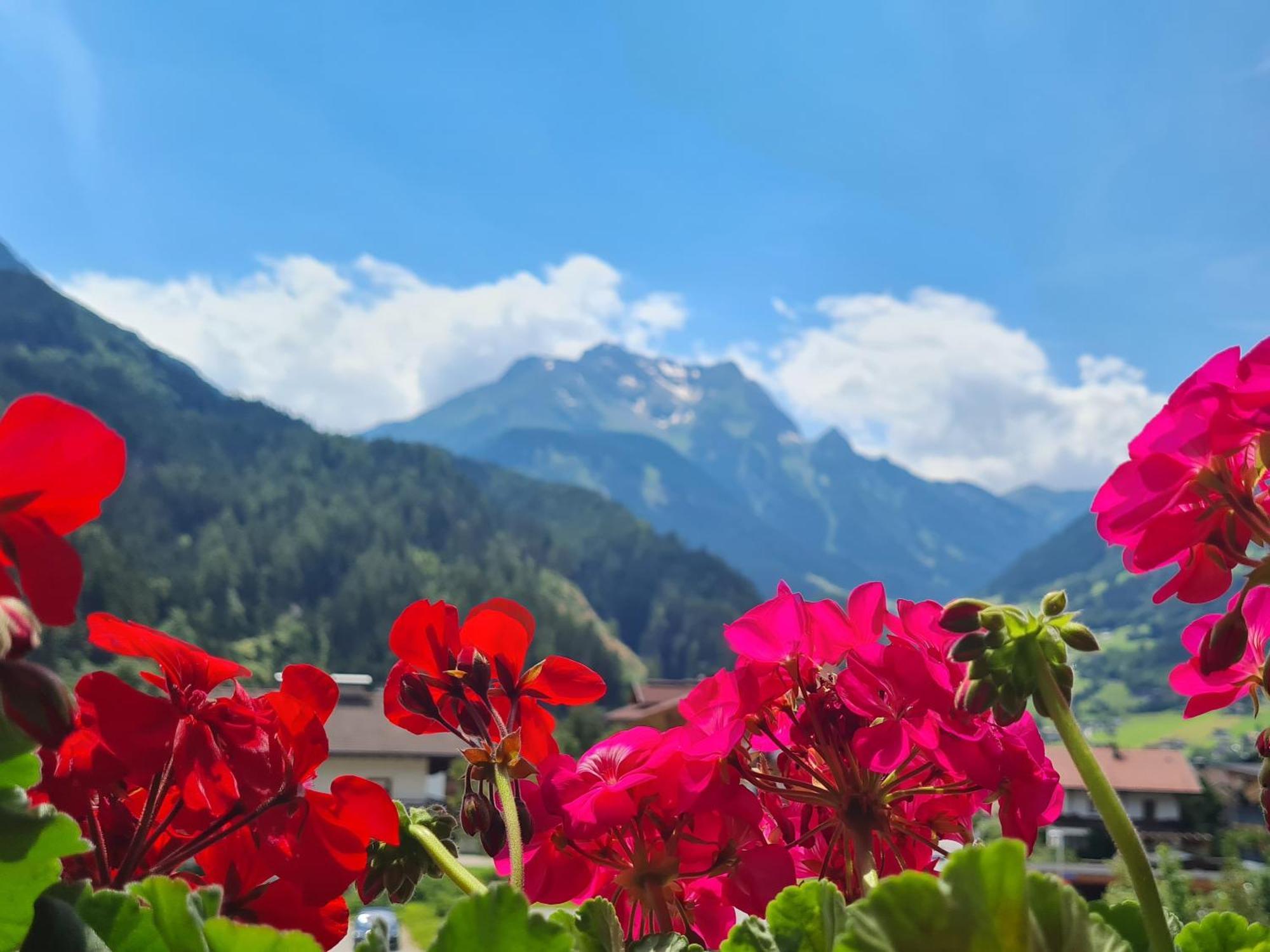 Hotel Scheulinghof Mayrhofen Exterior foto